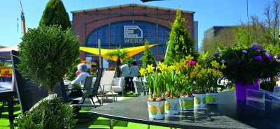 Blumentöpfe mit gelben und lilafarbenen Blüten auf einem Tisch auf einem Markt oder einer Gartenveranstaltung, wie in einer aktuellen Pressemitteilung dargestellt, mit Menschen, die in der Nähe eines großen Backsteingebäudes mit der Aufschrift "E WERK" sitzen und gehen.