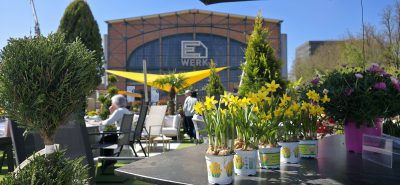 Gelbe Narzissen in Töpfen auf einem Tisch in einem Straßencafé, mit Menschen an Tischen, Bäumen und einem großen Backsteingebäude mit der Aufschrift E-Werk im Hintergrund unter einem klaren blauen Himmel.